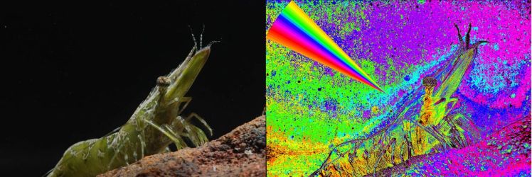 dsc_9269__and_135-155_with_scale