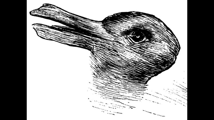 duckrabbit